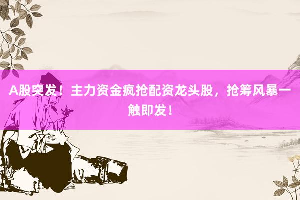 A股突发！主力资金疯抢配资龙头股，抢筹风暴一触即发！
