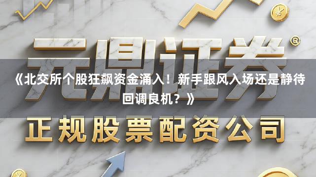 《北交所个股狂飙资金涌入！新手跟风入场还是静待回调良机？》