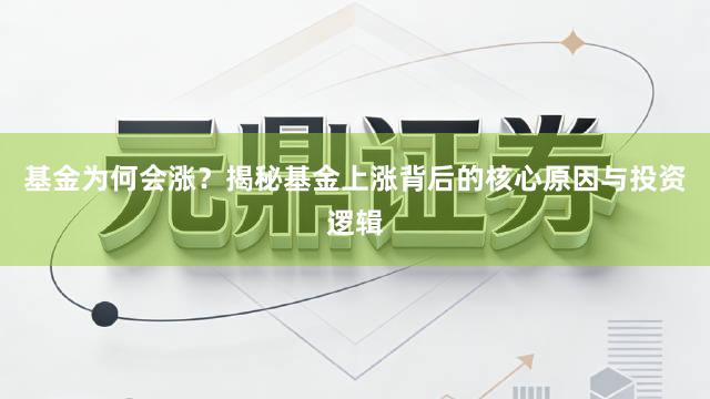 基金为何会涨？揭秘基金上涨背后的核心原因与投资逻辑