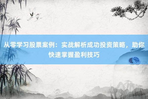 从零学习股票案例：实战解析成功投资策略，助你快速掌握盈利技巧