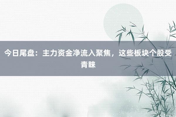 今日尾盘：主力资金净流入聚焦，这些板块个股受青睐