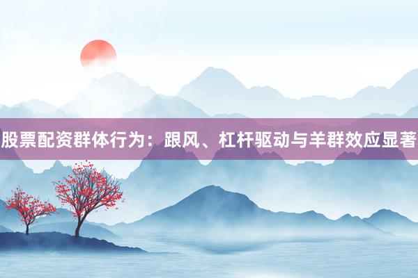 股票配资群体行为：跟风、杠杆驱动与羊群效应显著