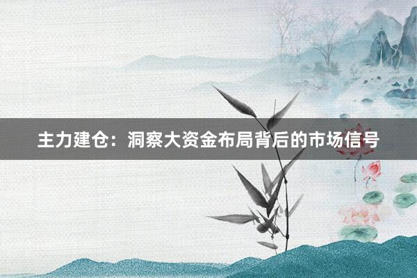 主力建仓：洞察大资金布局背后的市场信号