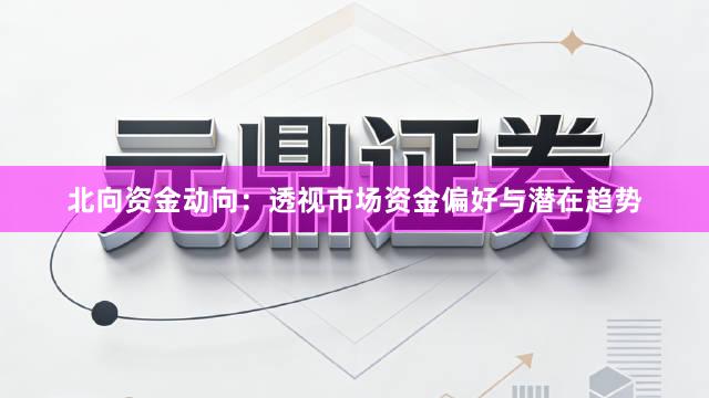 北向资金动向：透视市场资金偏好与潜在趋势