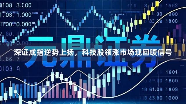 深证成指逆势上扬，科技股领涨市场现回暖信号