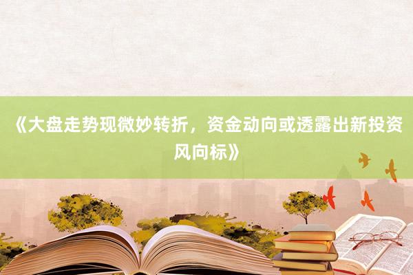 《大盘走势现微妙转折，资金动向或透露出新投资风向标》