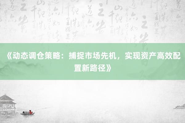 《动态调仓策略：捕捉市场先机，实现资产高效配置新路径》