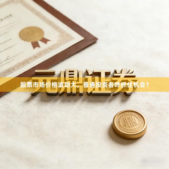 股票市场价格波动大，普通投资者咋抓住机会？