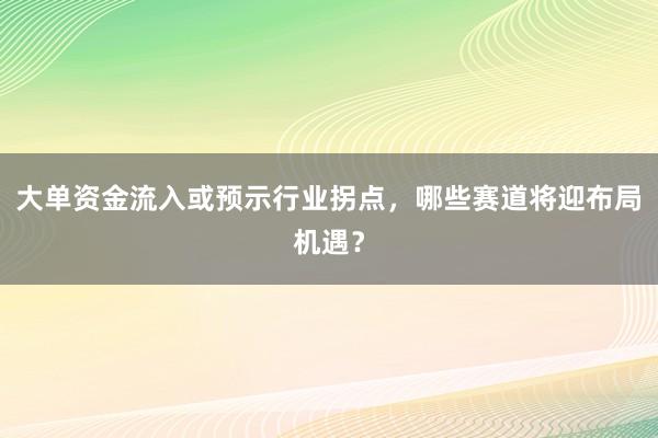 大单资金流入或预示行业拐点，哪些赛道将迎布局机遇？