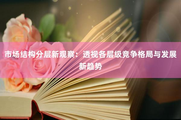 市场结构分层新观察：透视各层级竞争格局与发展新趋势