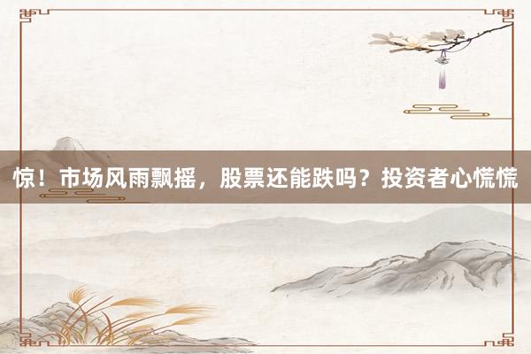 惊！市场风雨飘摇，股票还能跌吗？投资者心慌慌