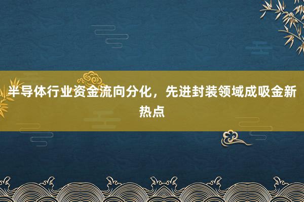 半导体行业资金流向分化，先进封装领域成吸金新热点
