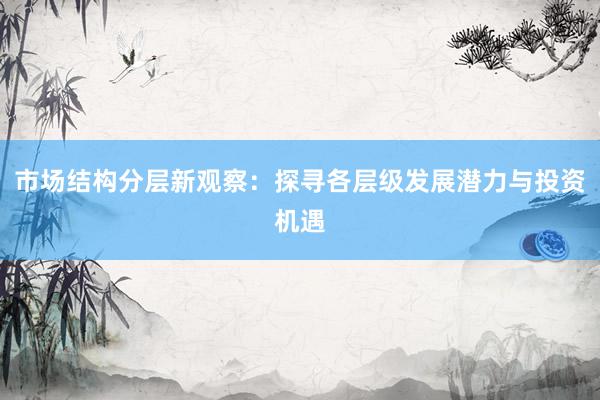 市场结构分层新观察：探寻各层级发展潜力与投资机遇
