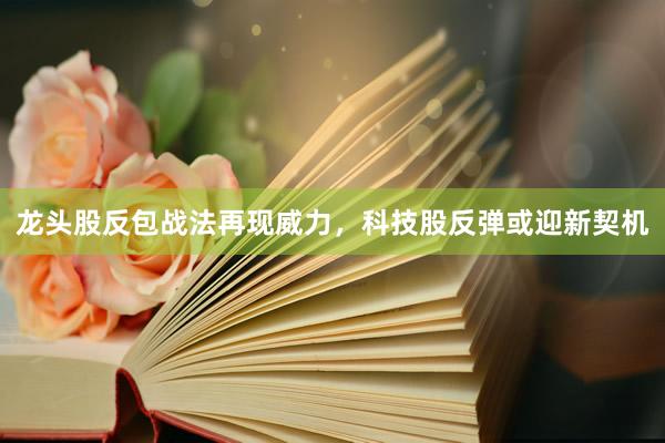 龙头股反包战法再现威力,科技股反弹或迎新契机
