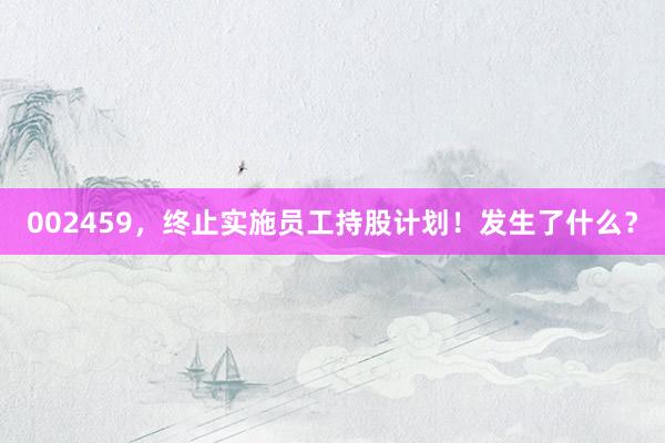 002459，终止实施员工持股计划！发生了什么？